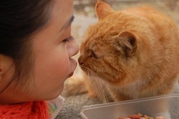 中都組織員工向流浪小動物提供愛心行動